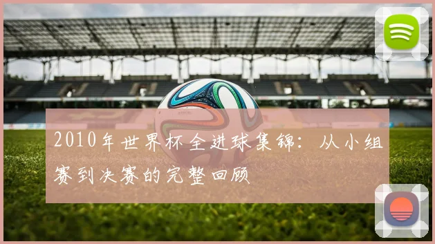 2010年世界杯全进球集锦:从小组赛到决赛的完整回顾