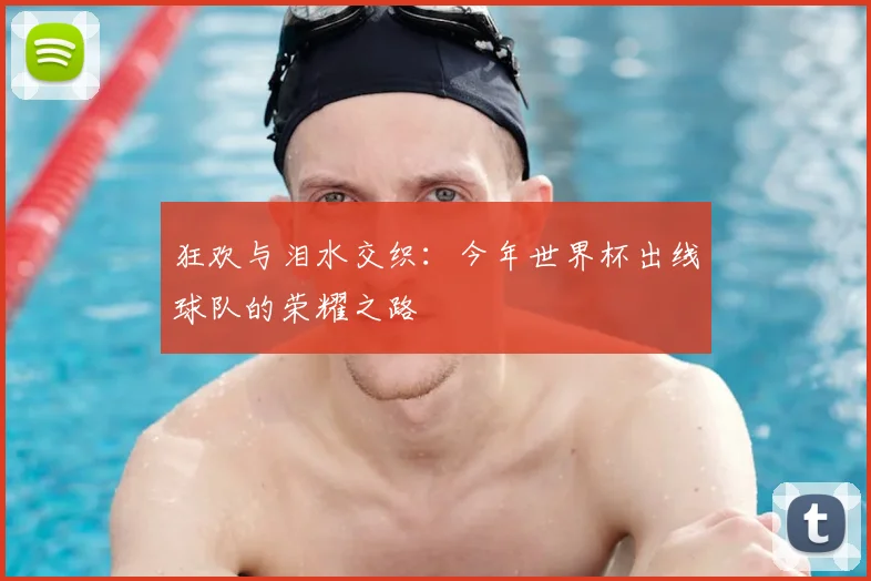狂欢与泪水交织：今年世界杯出线球队的荣耀之路