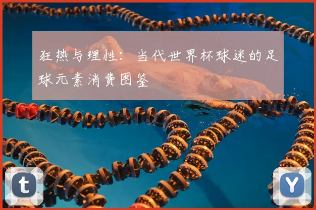 狂热与理性:当代世界杯球迷的足球元素消费图鉴