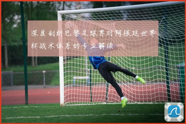 深度剖析巴黎足球界对阿根廷世界杯战术体系的专业解读