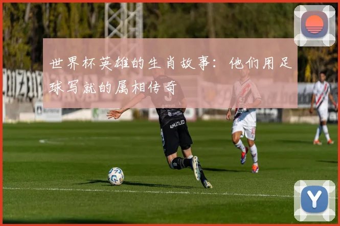 世界杯英雄的生肖故事：他们用足球写就的属相传奇
