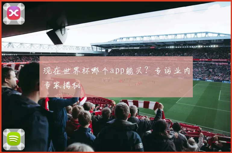 现在世界杯哪个app能买?专访业内专家揭秘