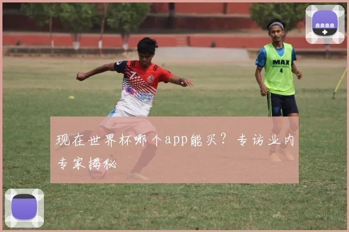 现在世界杯哪个app能买?专访业内专家揭秘