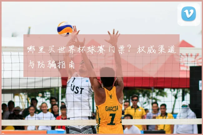 哪里买世界杯球赛门票？权威渠道与防骗指南