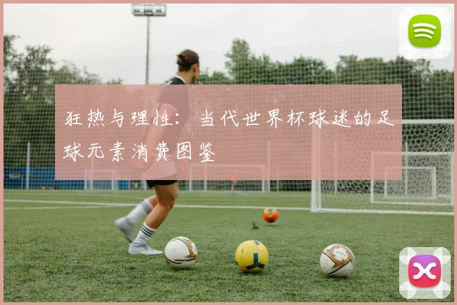 狂热与理性：当代世界杯球迷的足球元素消费图鉴