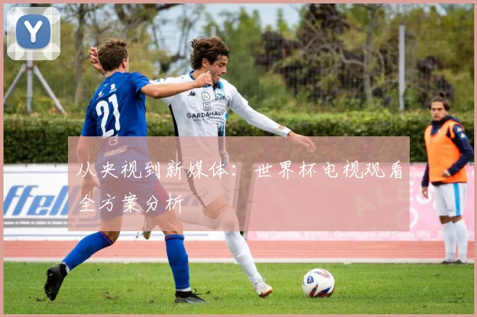 从央视到新媒体:世界杯电视观看全方案分析