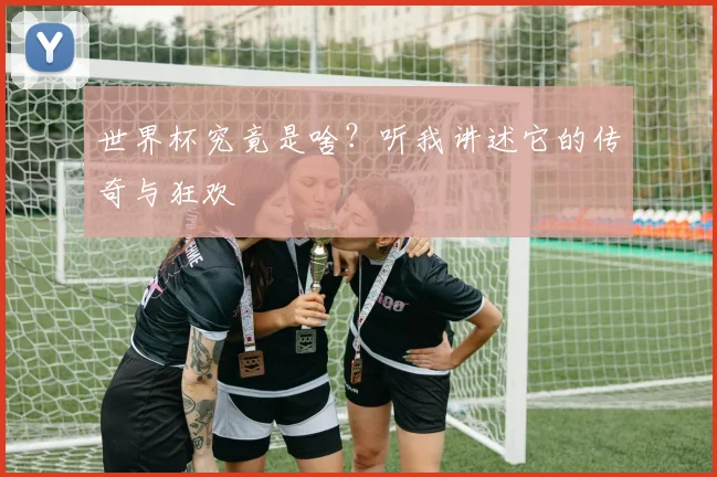 世界杯究竟是啥？听我讲述它的传奇与狂欢