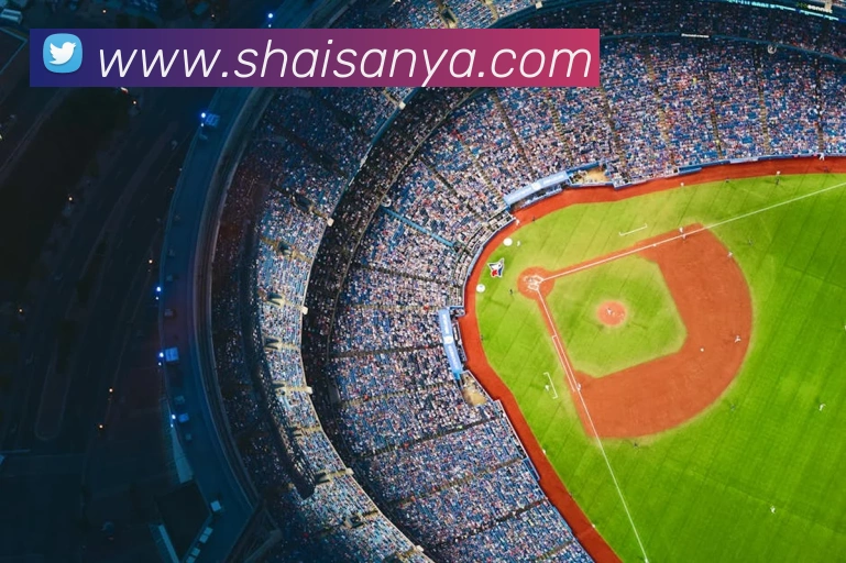 球友体育官网登录入口平台生态图