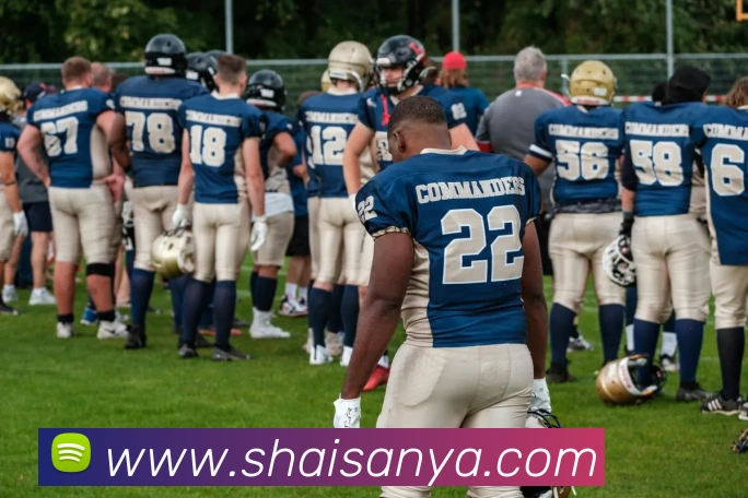 球友体育官网登录入口APP 封面图